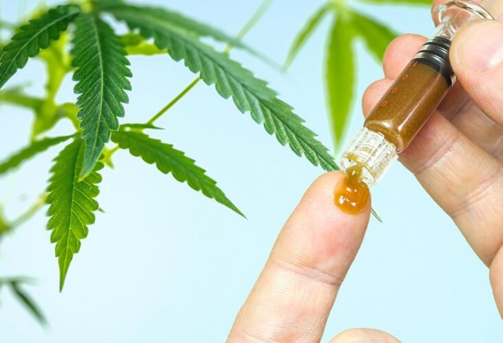 Benefits of CBD Oil Spray, You Just Can’t Ignore