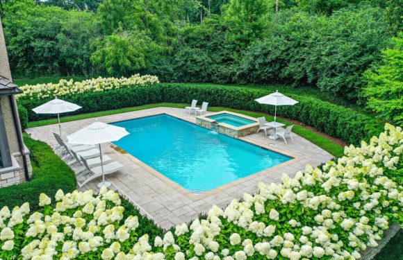 The Long-Term Financial Benefits of Eco-Friendly Pool Designs