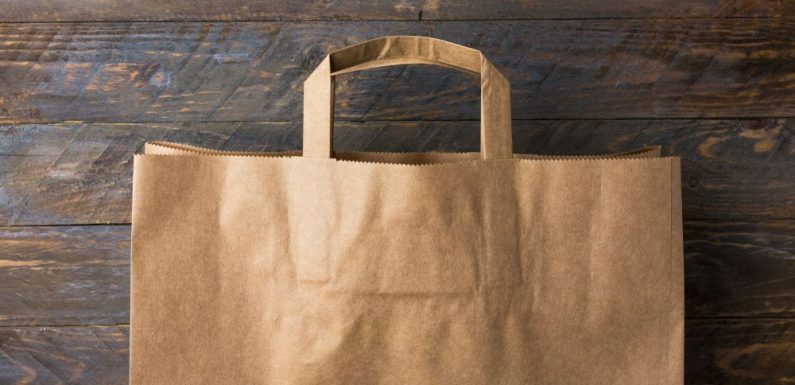 Driving Sustainability: The Impact of Biodegradable and Recyclable Bags on Automotive Packaging in India